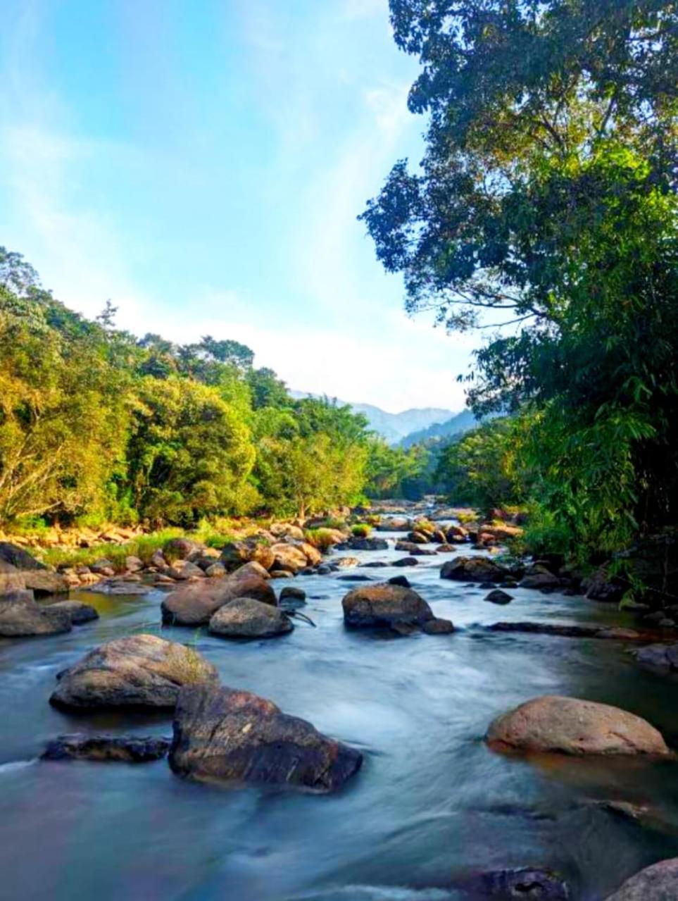 Anachal Mistey Valley Munnar Villa מראה חיצוני תמונה