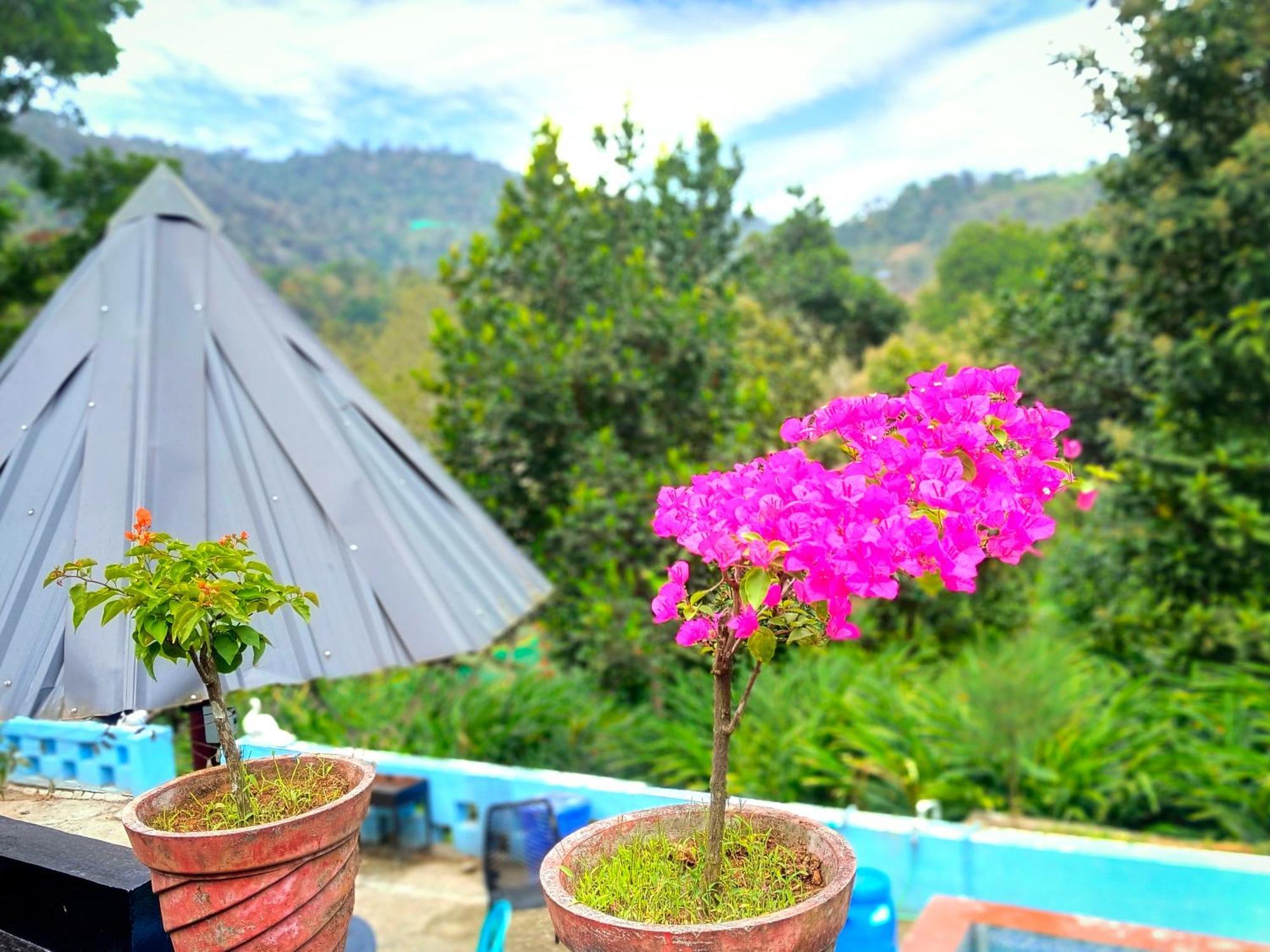 Anachal Mistey Valley Munnar Villa מראה חיצוני תמונה